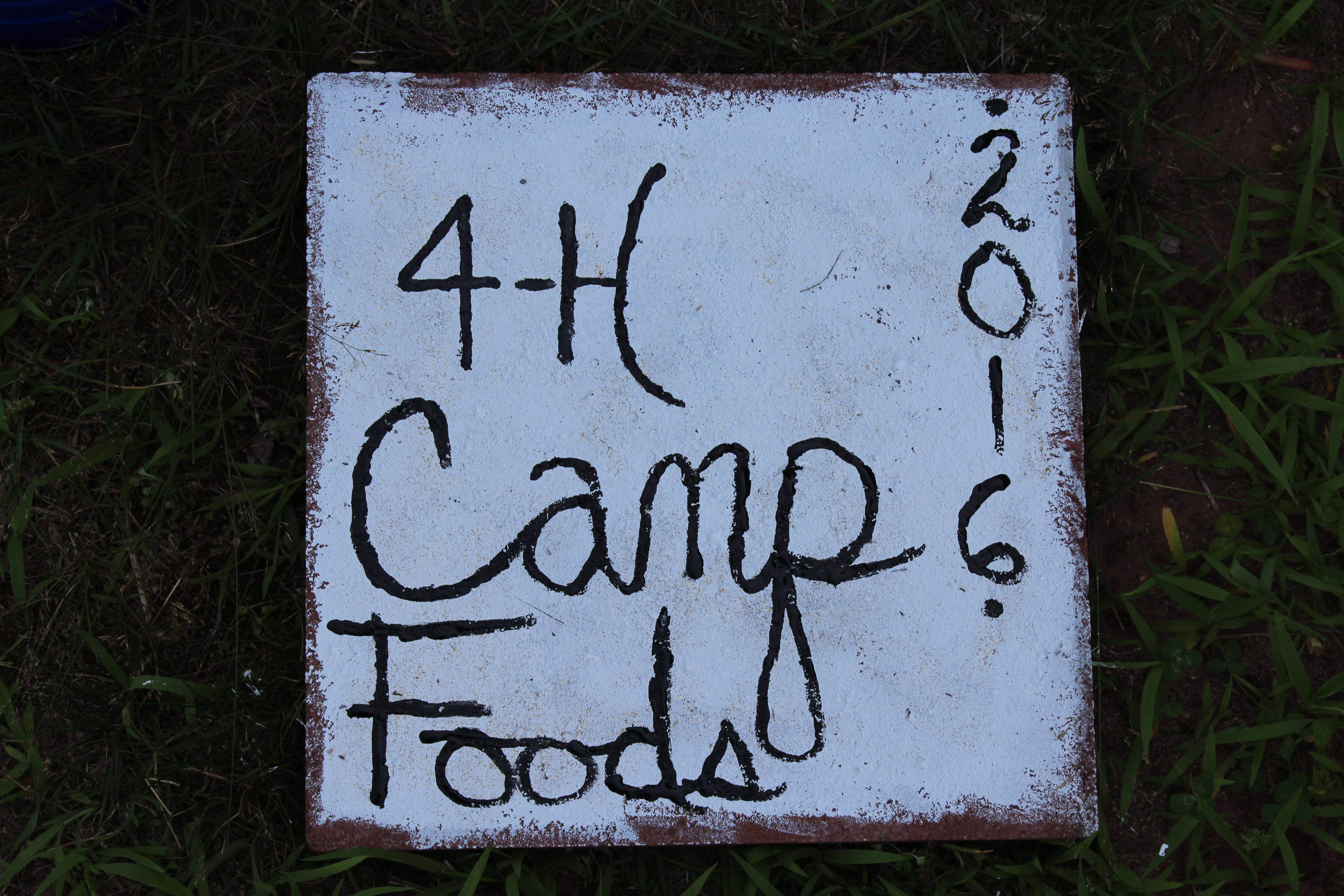 4H Camp food painting, stone painting